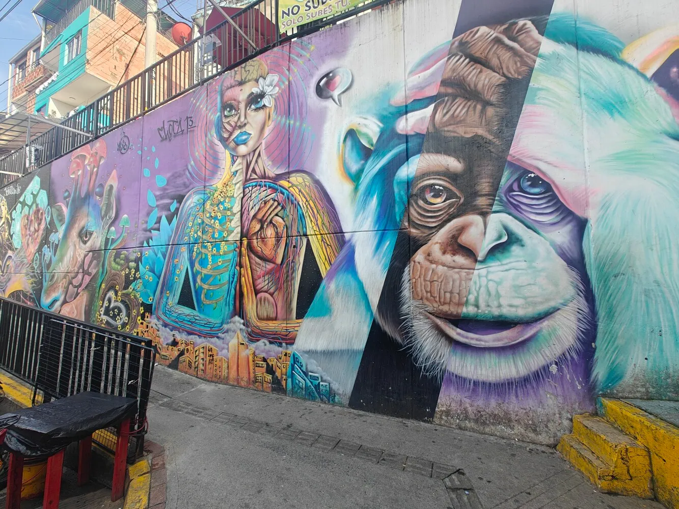 Comuna 13 has lots of such street art.
