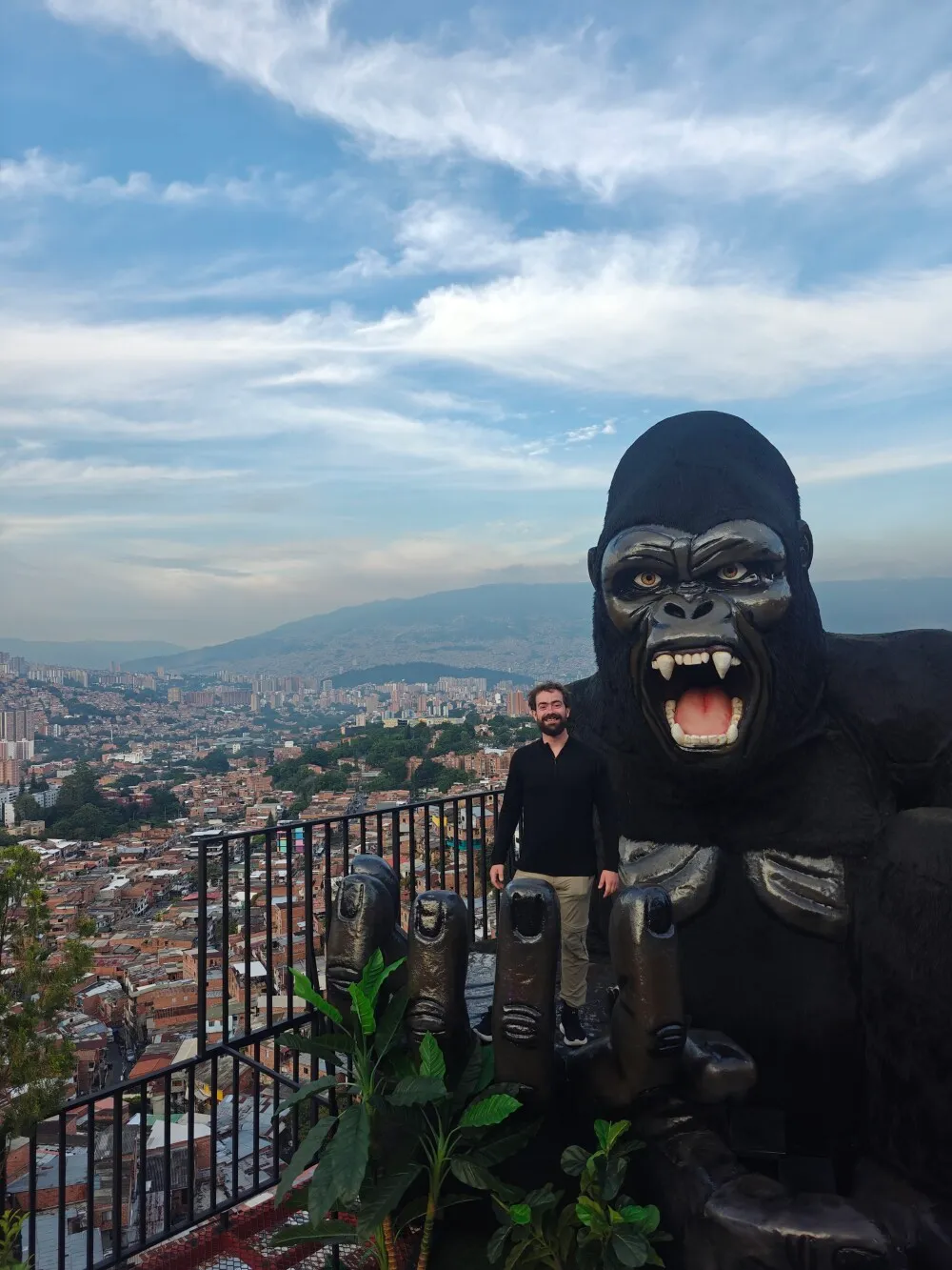 Big monkey