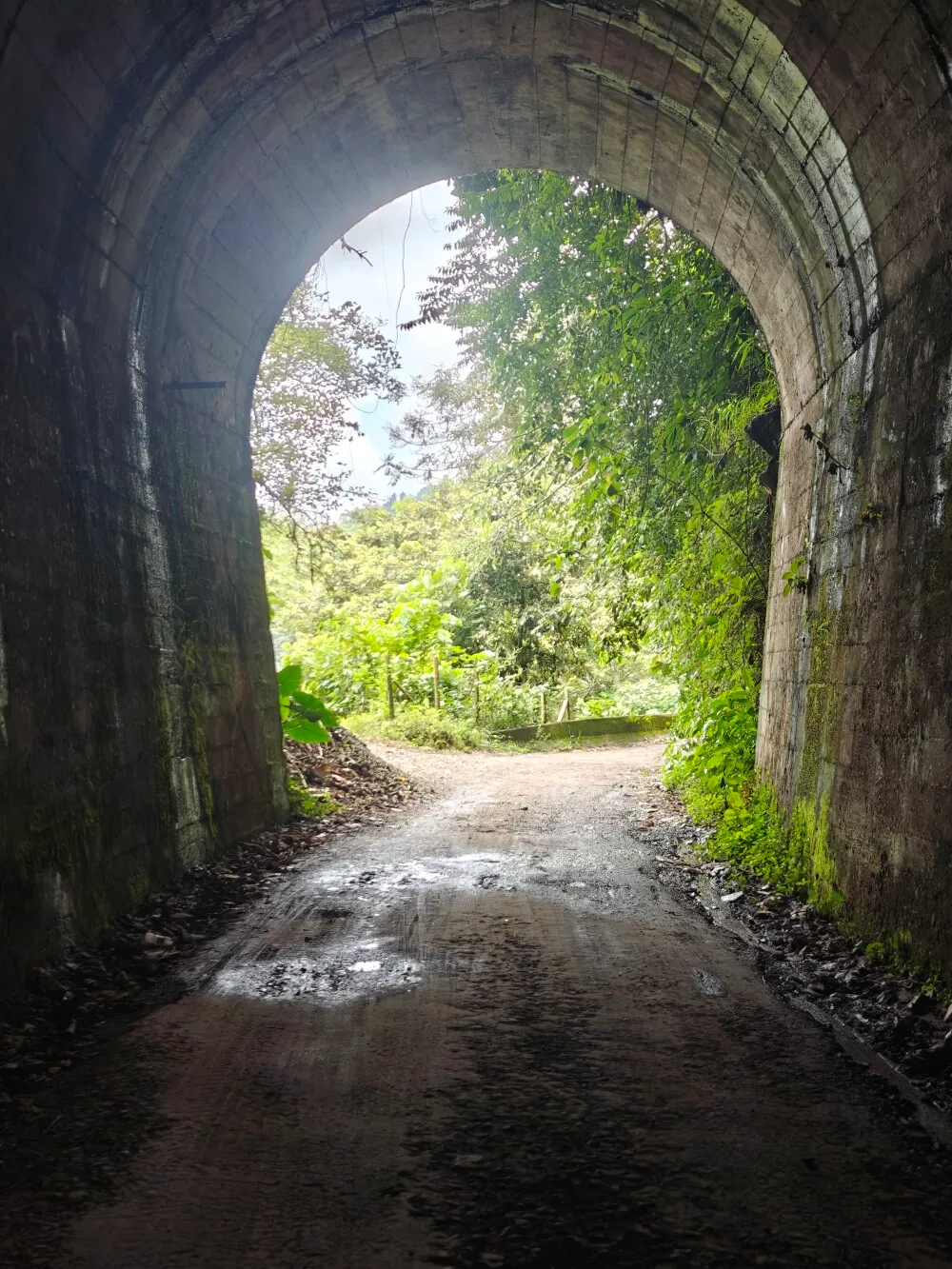 Tunnel