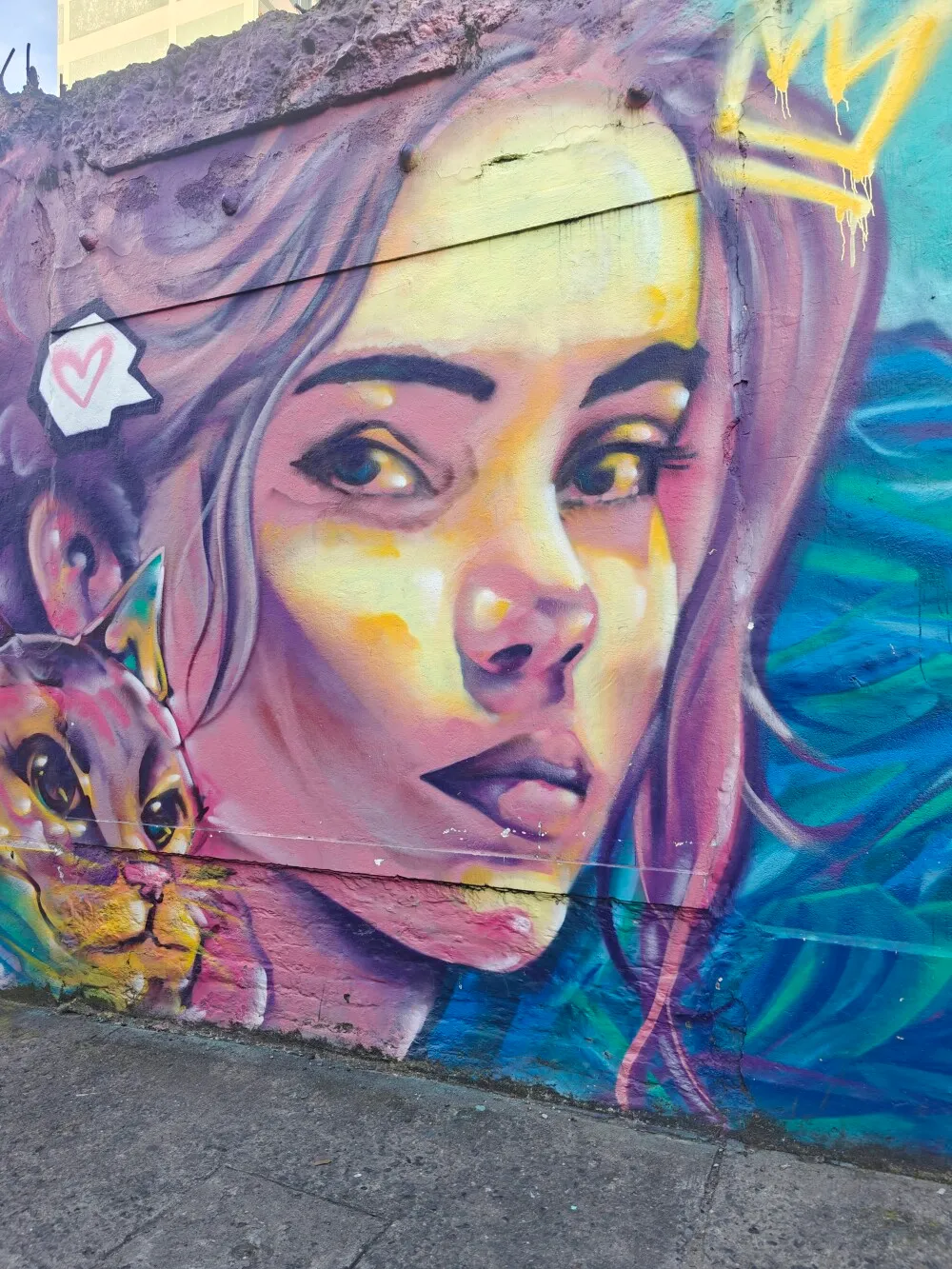 Lots of street art in the city. This was illegal until a few years ago