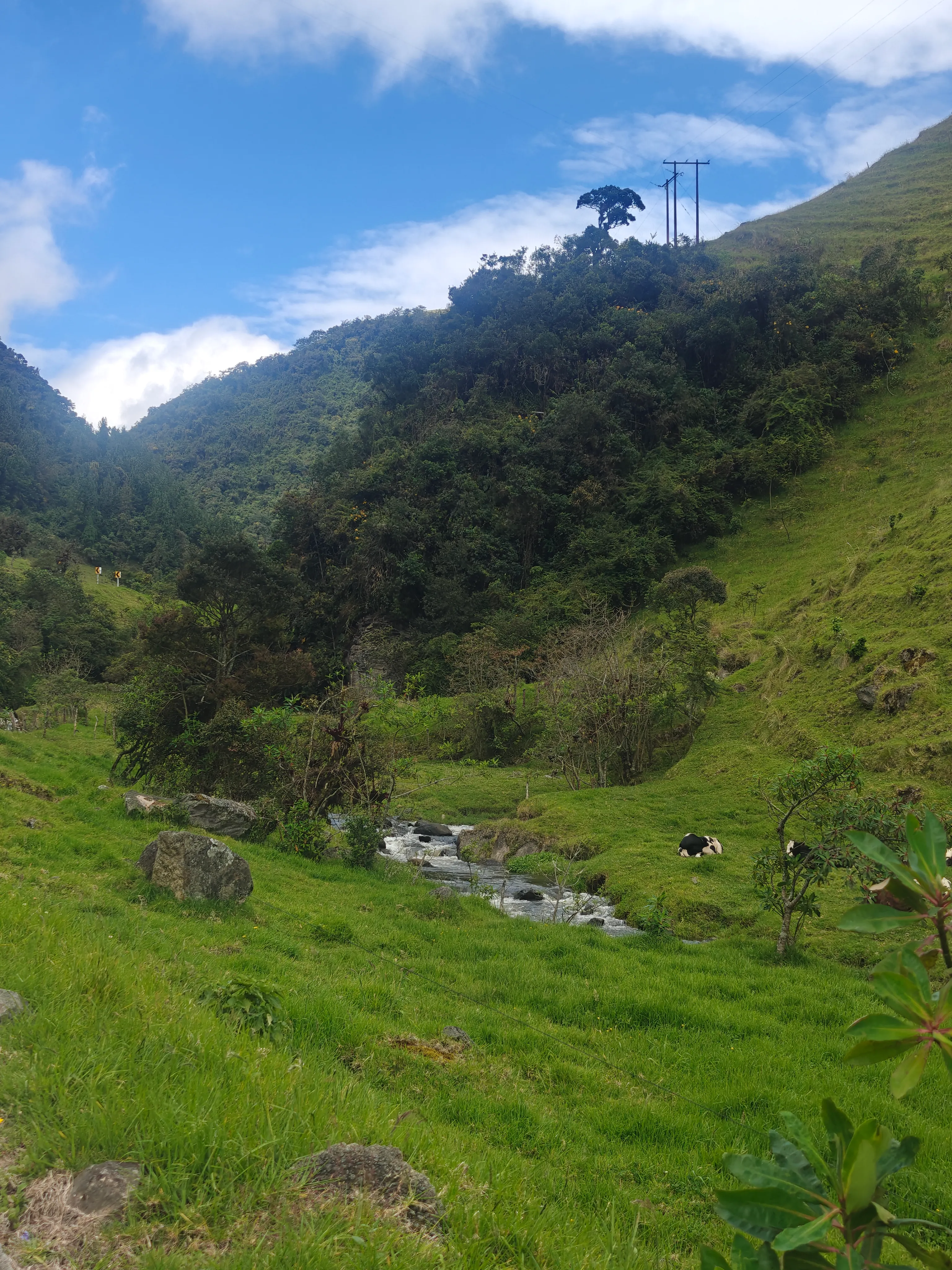 Great country cycling views